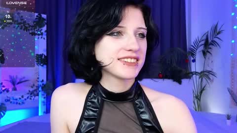Vamp  online show from December 23, 3:29 am