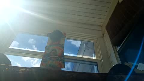 darkbeauty1602 online show from September 12, 5:57 pm