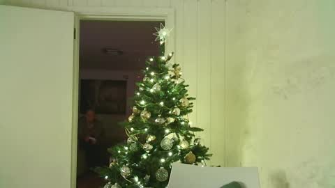 Dario online show from January 3, 4:06 pm