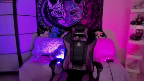 daryimiau online show from November 26, 9:10 am