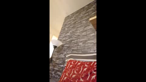 dave72303991 online show from February 27, 4:40 pm