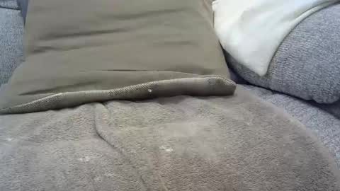 davesmiff1 online show from January 30, 7:48 pm