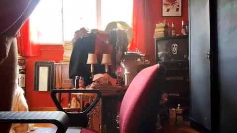 david_argentina online show from October 28, 7:38 pm