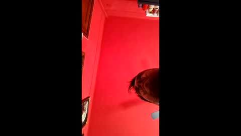 david_argentina online show from January 11, 6:35 pm