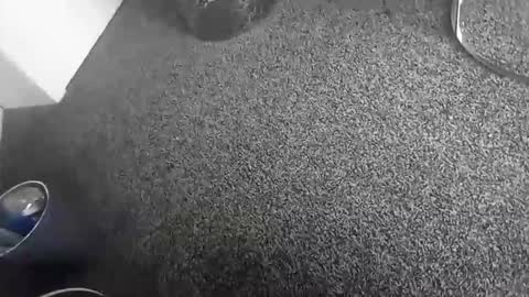 davidf75 online show from November 17, 10:43 am