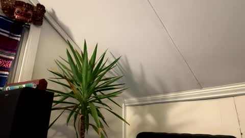 dayblue online show from March 2, 2:58 am