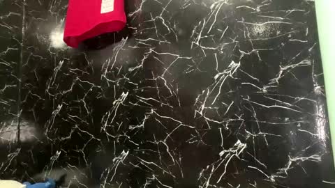 May online show from April 12, 3:50 pm