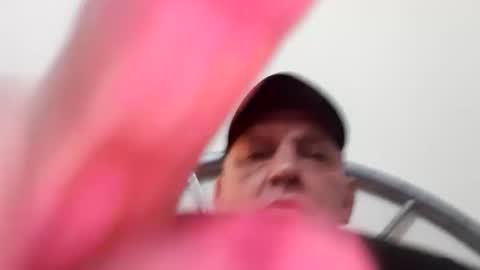 dazzaboxer online show from October 2, 1:12 am