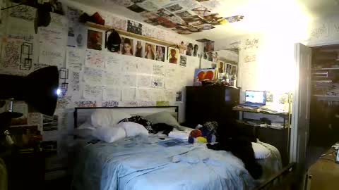 Snapshot of dbeamon92 chatting on March 8, 2:04 am dbeamon92 online show from March 8, 2:04 am