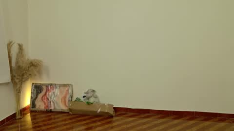 Dean online show from February 6, 8:45 pm