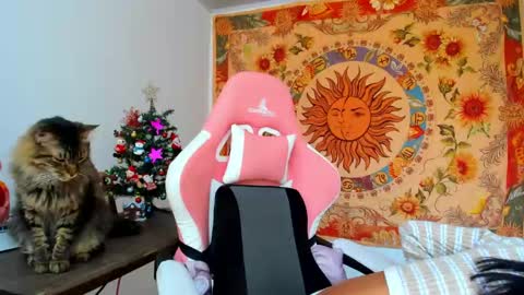 demeter__ online show from December 11, 4:53 pm