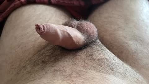 LilRoach online show from November 16, 3:28 pm