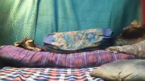 desi_boy799417 online show from March 23, 9:46 am