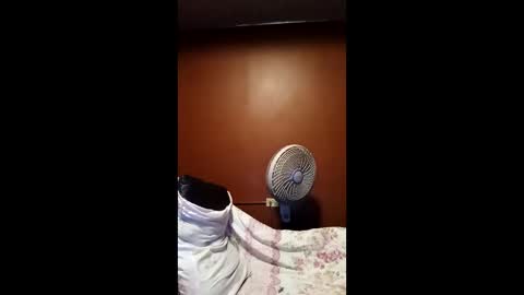 Snapshot of devensingh chatting on March 20, 5:34 am devensingh online show from March 20, 5:34 am