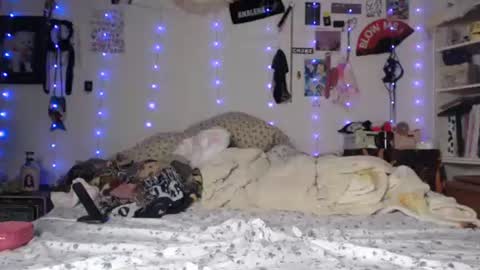 poutyangel online show from January 29, 7:36 am