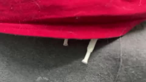 diag033014 online show from February 11, 12:15 am