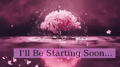 Daphne Sophia Vega online show from April 3, 8:01 am