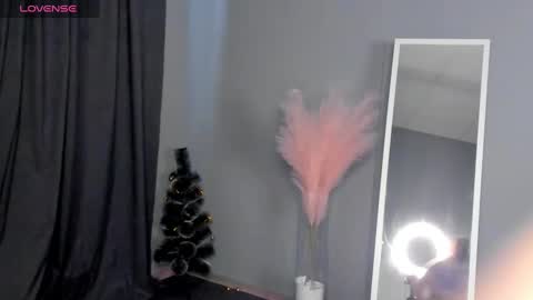 Snapshot of dianne_davis chatting on January 30, 9:36 am Dianne online show from January 30, 9:36 am