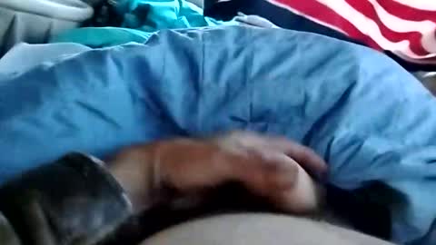 Dickbowen online show from November 1, 1:57 pm