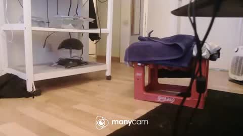 Kevin S. online show from December 17, 9:59 am