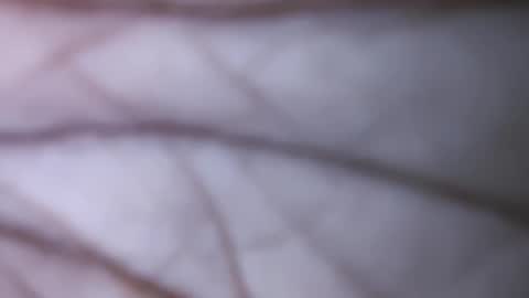 Snapshot of dicks_balls chatting on December 1, 7:47 pm Dick balls online show from December 1, 7:47 pm