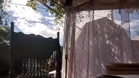 Dickscobals online show from September 14, 8:41 pm