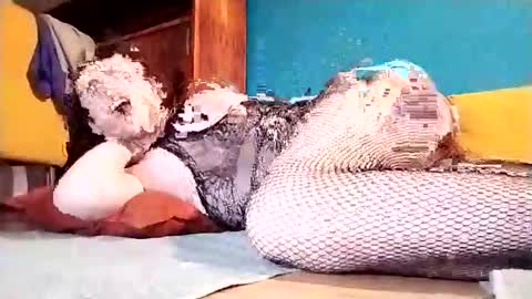 Snapshot of dickycumalotofficial chatting on March 1, 7:15 pm Dicky online show from March 1, 7:15 pm