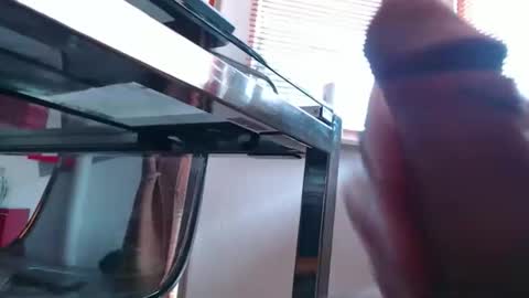 squirtcock online show from March 19, 8:29 am