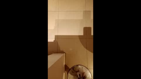 Snapshot of diegomoreno19 chatting on February 21, 10:33 pm Diego online show from February 21, 10:33 pm