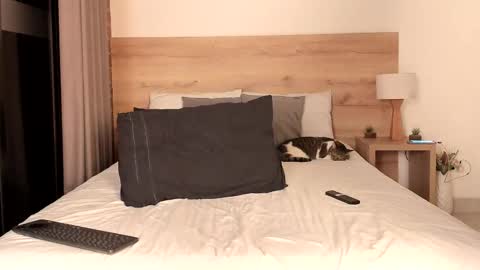 Dilarahkesh  online show from February 16, 7:15 am