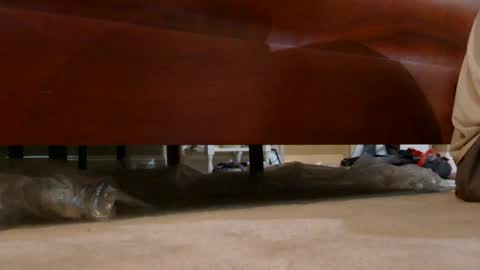 dildosnme22 online show from August 3, 7:29 am