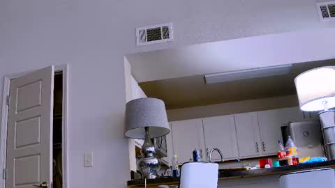 Snapshot of dilldough405 chatting on February 11, 9:56 pm Dilldough405 online show from February 11, 9:56 pm