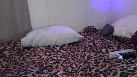 Sofie online show from February 4, 7:03 am