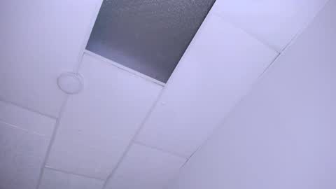 DINA online show from December 24, 9:55 pm