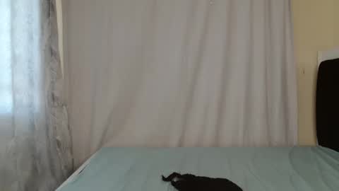 Snapshot of disah_002 chatting on May 28, 11:18 am disah_002 online show from May 28, 11:18 am