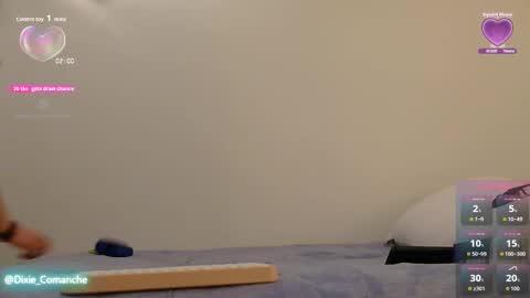 dixie_comanche online show from November 27, 4:03 am