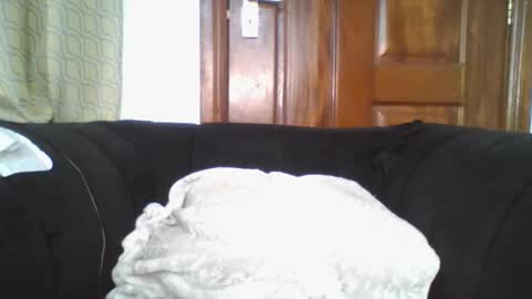 dixie_driver online show from September 30, 9:09 pm