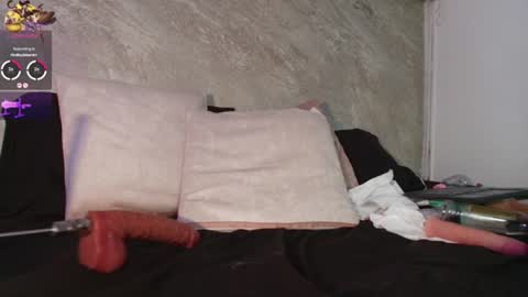 Snapshot of dixie_grey1 chatting on July 4, 3:51 pm Sofia online show from July 4, 3:51 pm