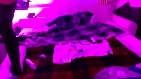 Izzy Knyx online show from December 22, 4:31 am