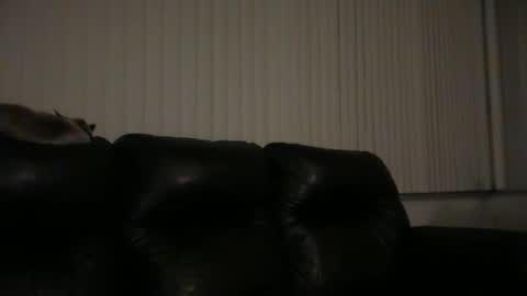 DJ Chaterbate online show from March 31, 6:36 am