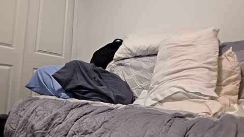 djaxxx_2020 online show from March 27, 3:12 am