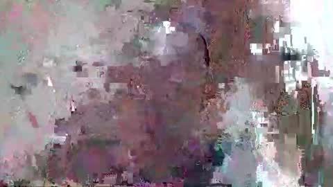 Snapshot of djentlemen1 chatting on November 1, 10:50 am djentlemen1 online show from November 1, 10:50 am