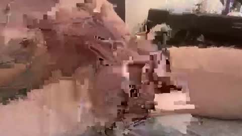 djfrankieice online show from February 17, 4:53 am