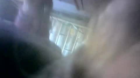 Snapshot of dkboxer chatting on February 13, 11:39 am dkboxer online show from February 13, 11:39 am