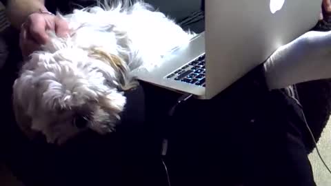 Snapshot of dkdad1966 chatting on December 4, 3:43 pm DKdad online show from December 4, 3:43 pm