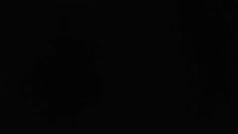 dlt22 online show from April 12, 10:53 am