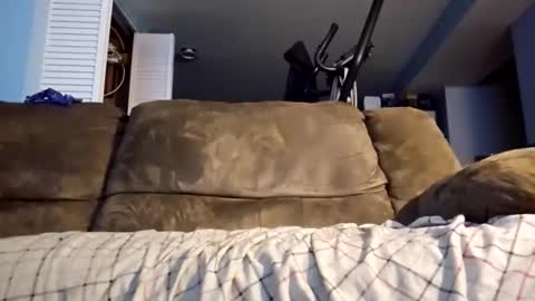 dogbone999081 online show from December 3, 8:45 am