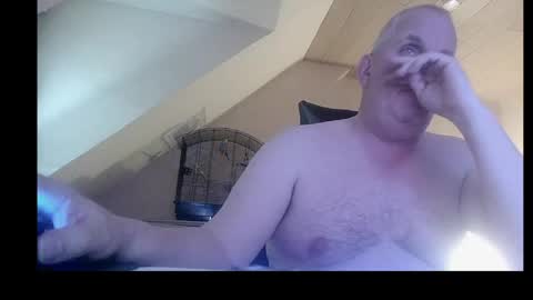 Snapshot of doggy2629 chatting on April 25, 5:54 pm doggy2629 online show from April 25, 5:54 pm