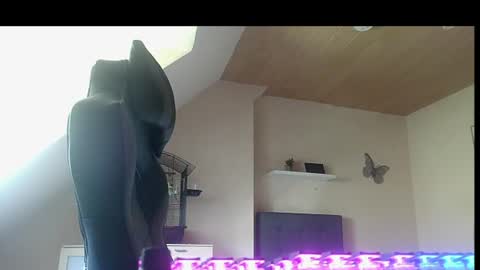 doggy2629 online show from June 29, 12:05 pm