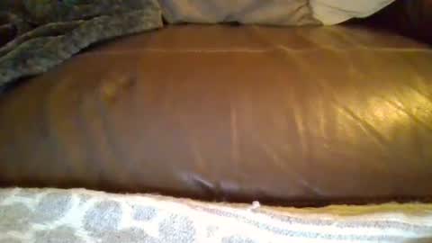 dom91070 online show from February 8, 10:02 pm